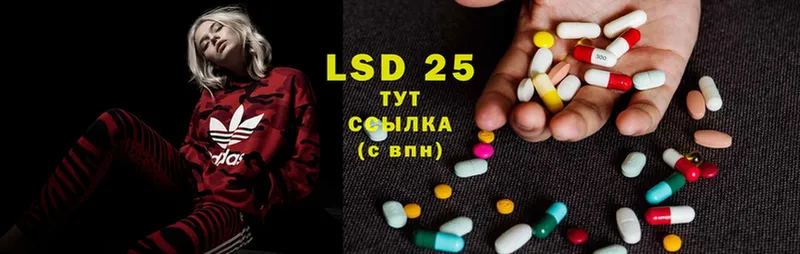 купить закладку  Пошехонье  Лсд 25 экстази ecstasy 